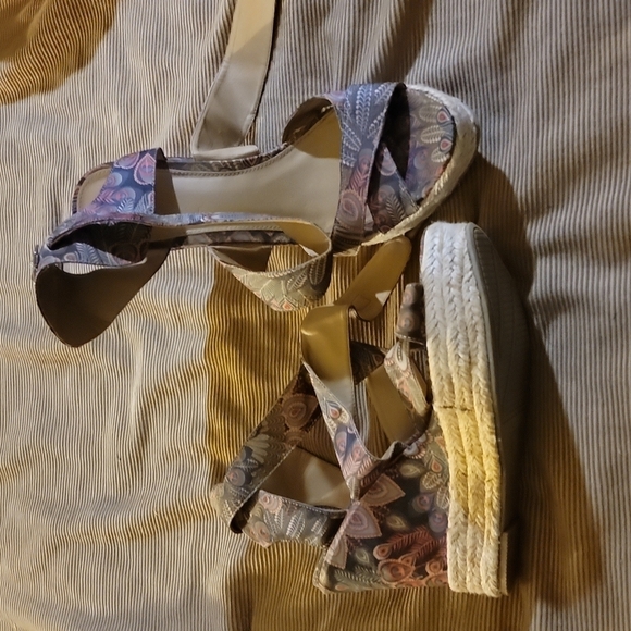 BP multi color wedges - Picture 1 of 3